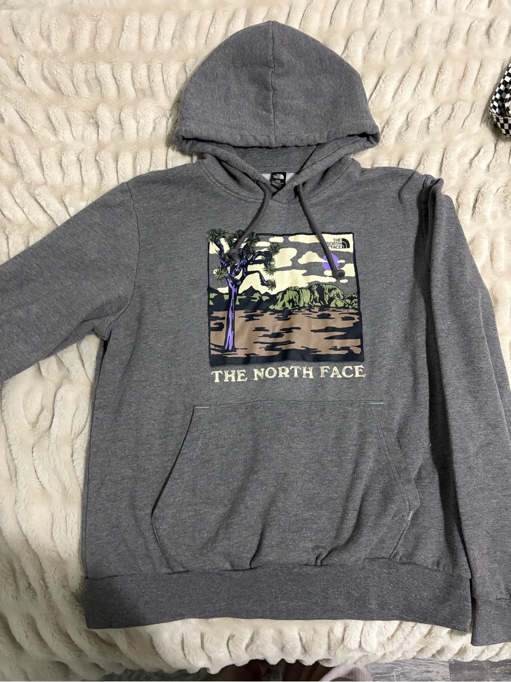 The North Face Gray Graphic Pullover Hoodie